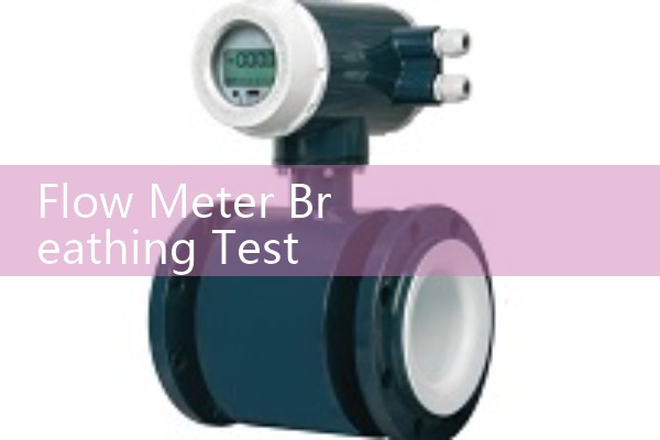 Flow Meter Breathing Test Equipment: Calibrating Spirometers and Peak Flow Devices